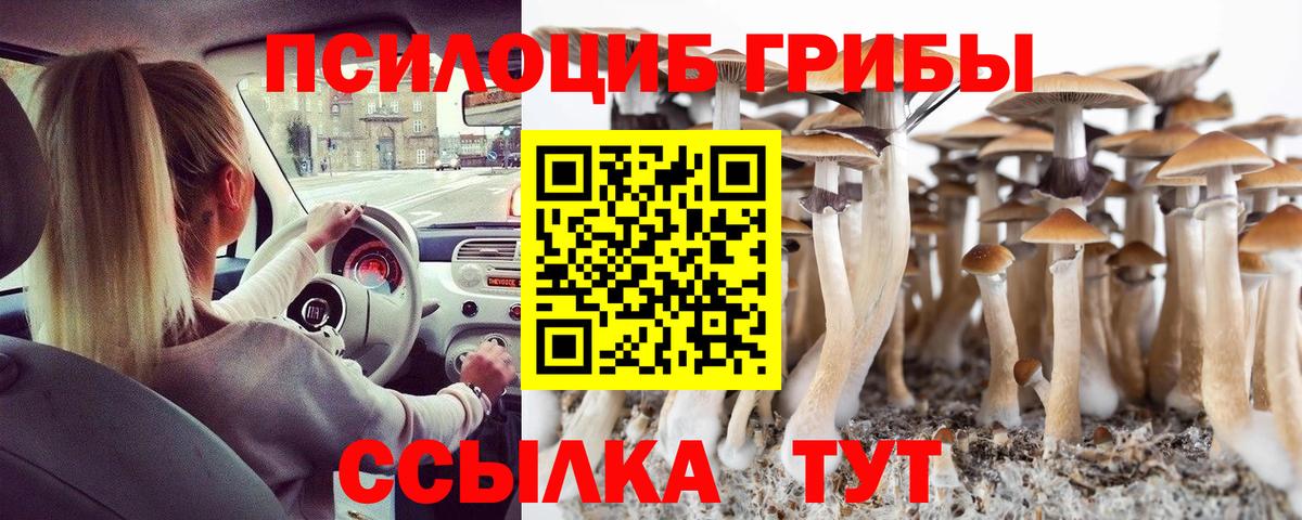 Галлюциногенные грибы Psilocybine cubensis Бердск